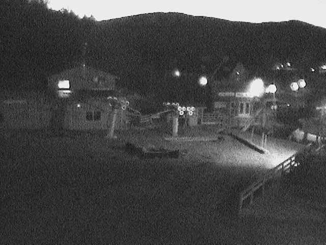 Live WebCam