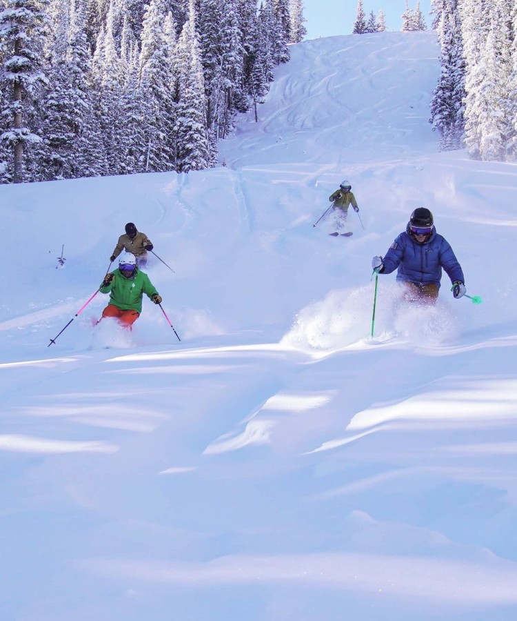 Powder