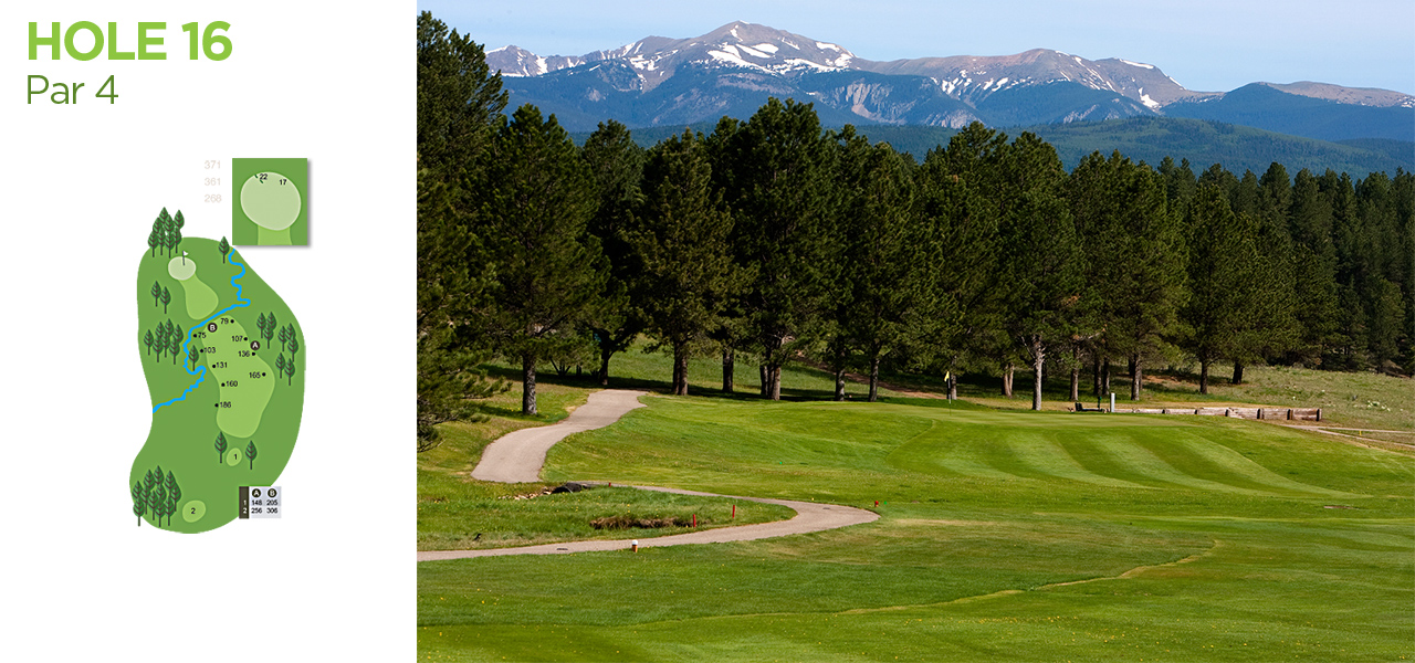 golf-hole-16