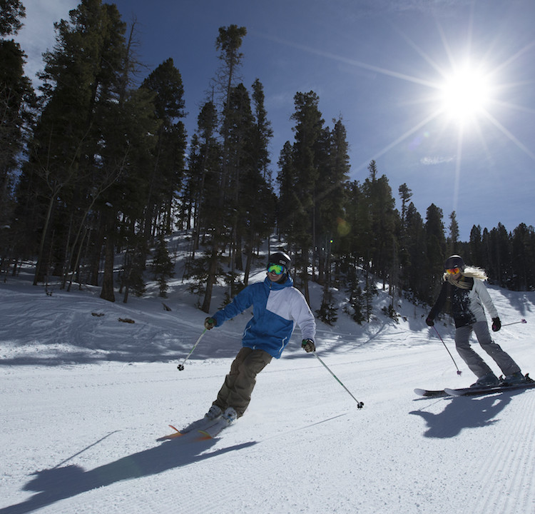 BlueBirdSkiingCouple