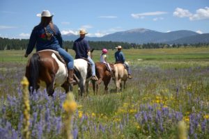 horseback riding through wildflowers