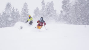 Ski & Snowboard in Fresh Powder