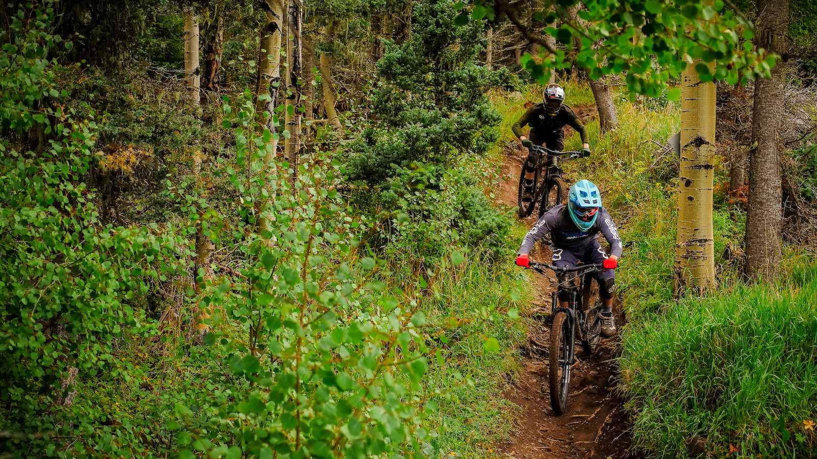 Pinkbike Local Flavors The Complete Guide To Riding In Angel Fire