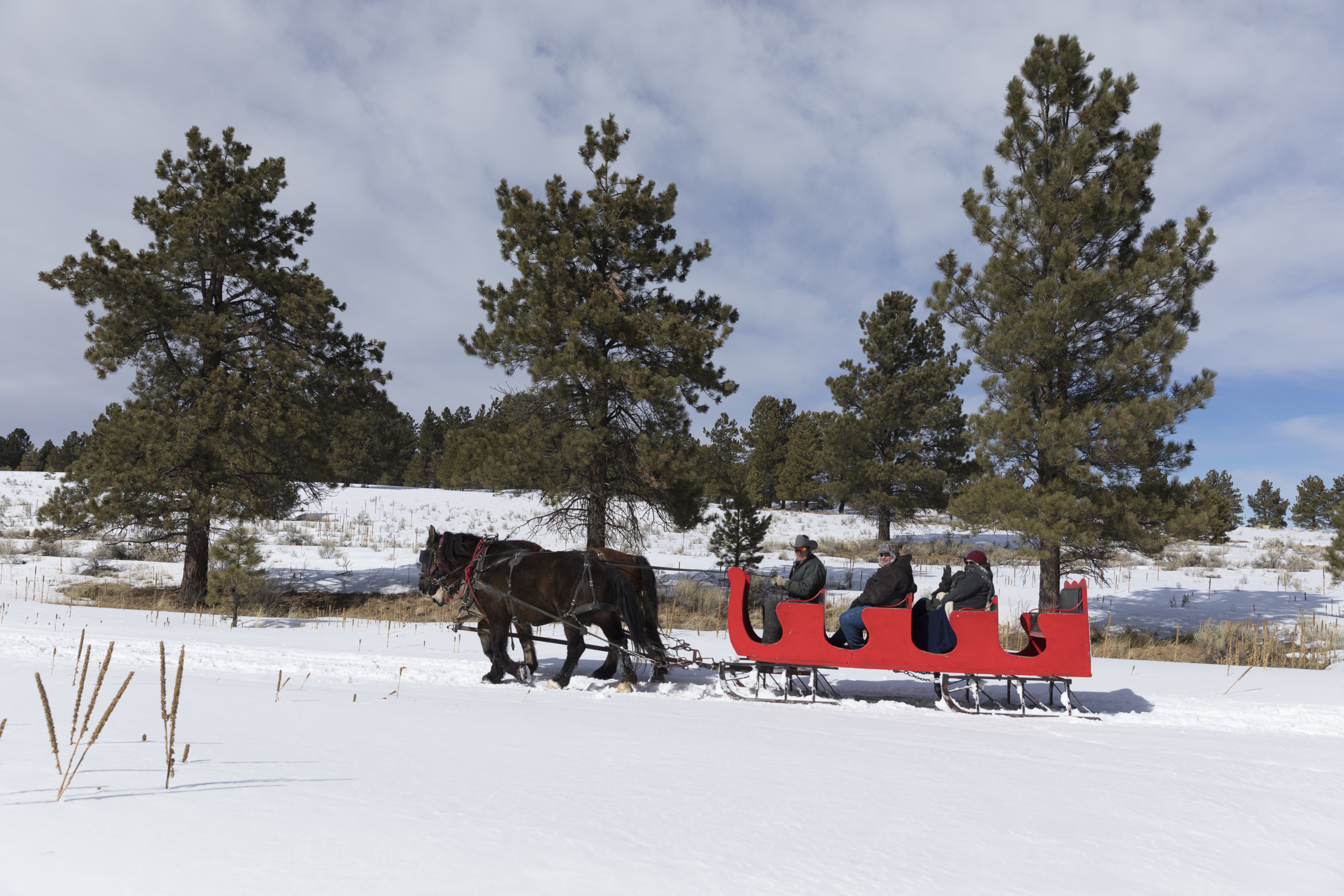 family adventure horses