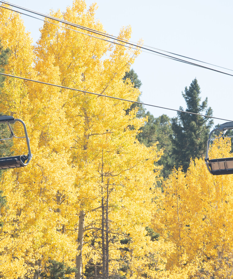3 Perfect Fall Days in Angel Fire: The Ultimate Weekend Itinerary