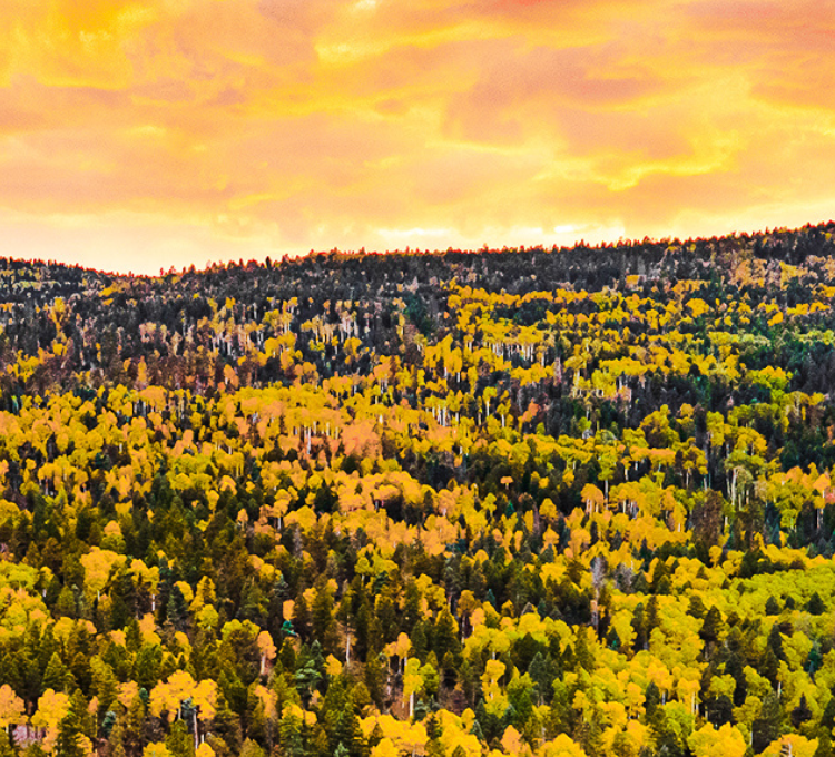 3 Perfect Fall Days in Angel Fire: The Ultimate Weekend Itinerary