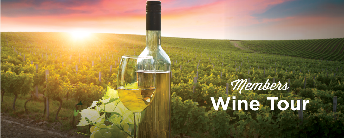 Wine Tour
