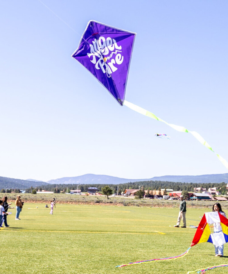 Kites
