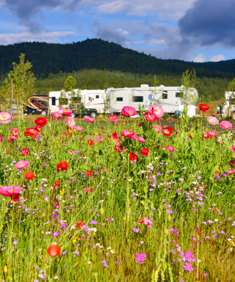 Angel Fire RV Resort