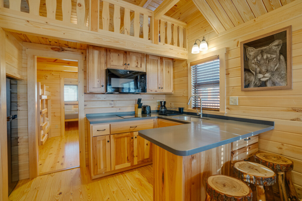 cabins at Angel Fire Resort