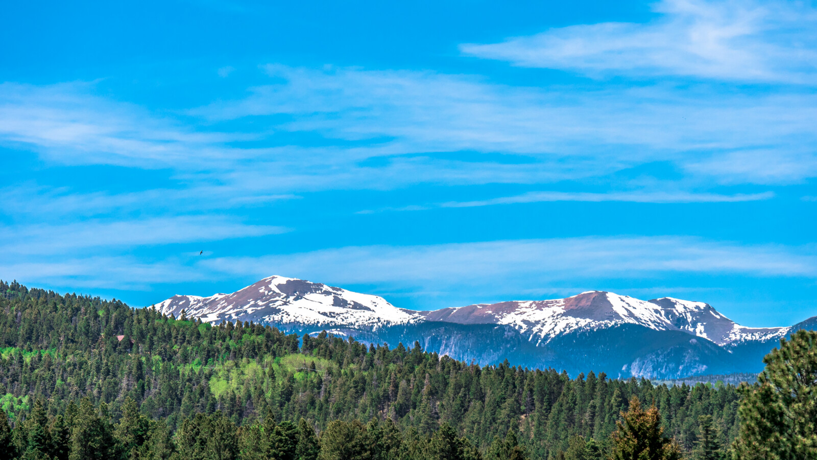 20150602-P1180984 (1)