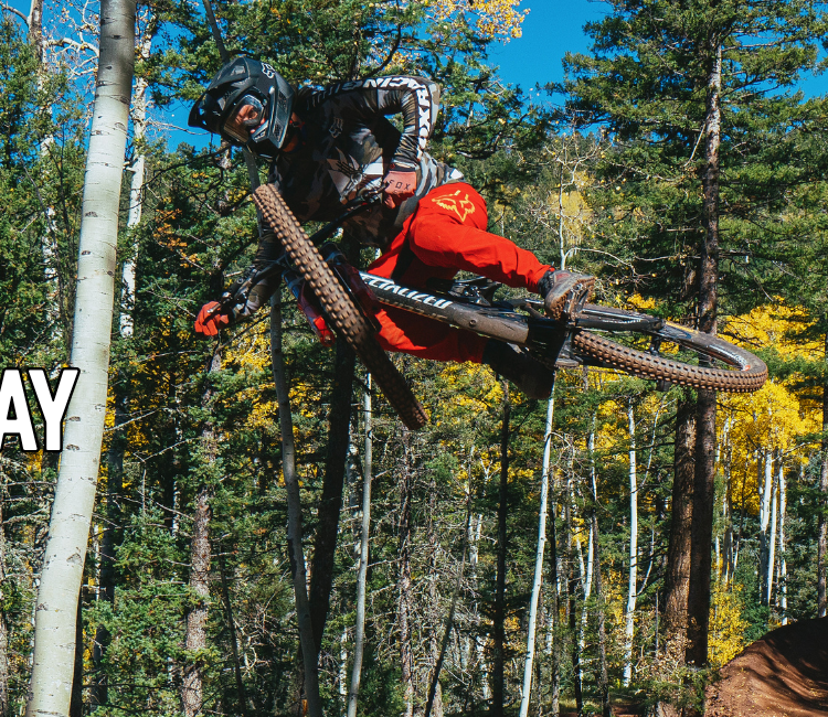 Bike Park Passholder and Member (1)