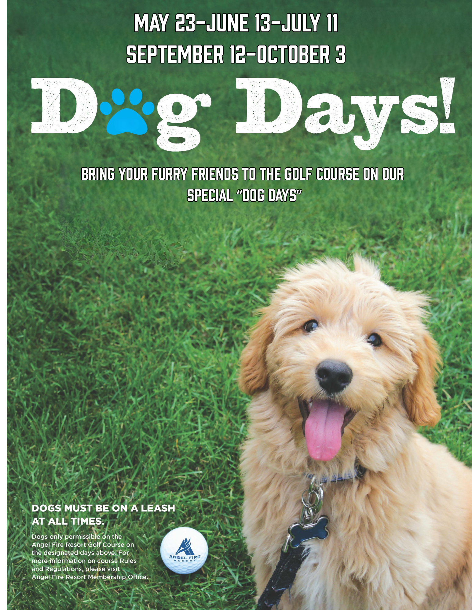 Dog Days Summer 2026 (2)